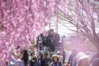 写真 2017-04-25 11 37 53.jpg