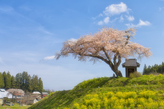 写真 2017-04-25 9 06 06.jpg