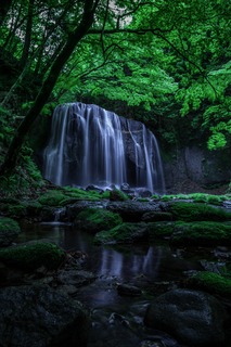 写真 2017-05-28 7 50 06.jpg