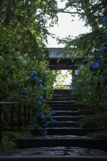 写真 2017-07-02 5 46 50.jpg